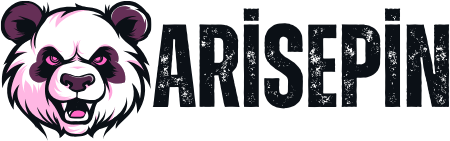 Aris Epin